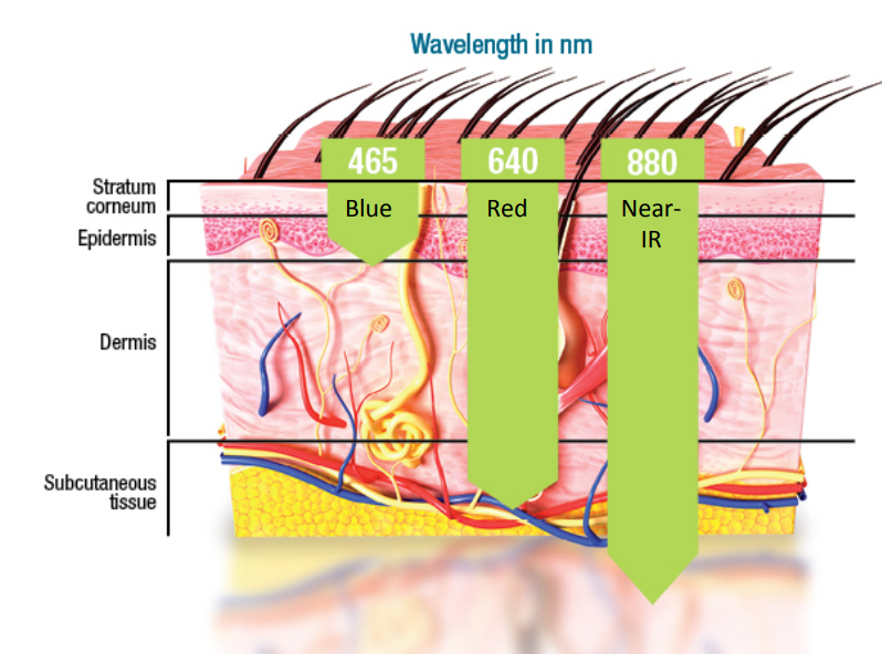 LED Light Therapy​​ Wavelengths